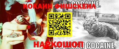 крисы Новодвинск