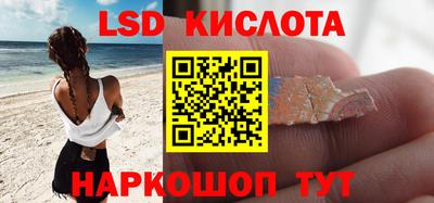 крисы Новодвинск
