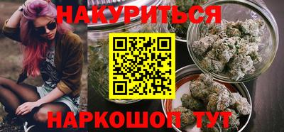 крисы Новокубанск