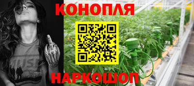 крисы Новодвинск
