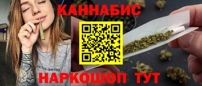 крисы Новодвинск