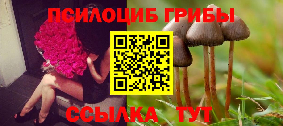 Уссурийск  Псилоцибиновые грибы GOLDEN TEACHER  Вход с VPN 